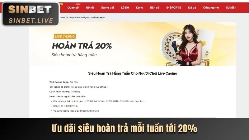 Ưu đãi đặc biệt và chương trình VIP